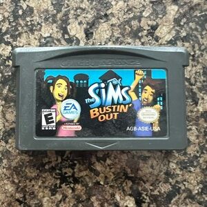 The Sims Bustin' Out Game